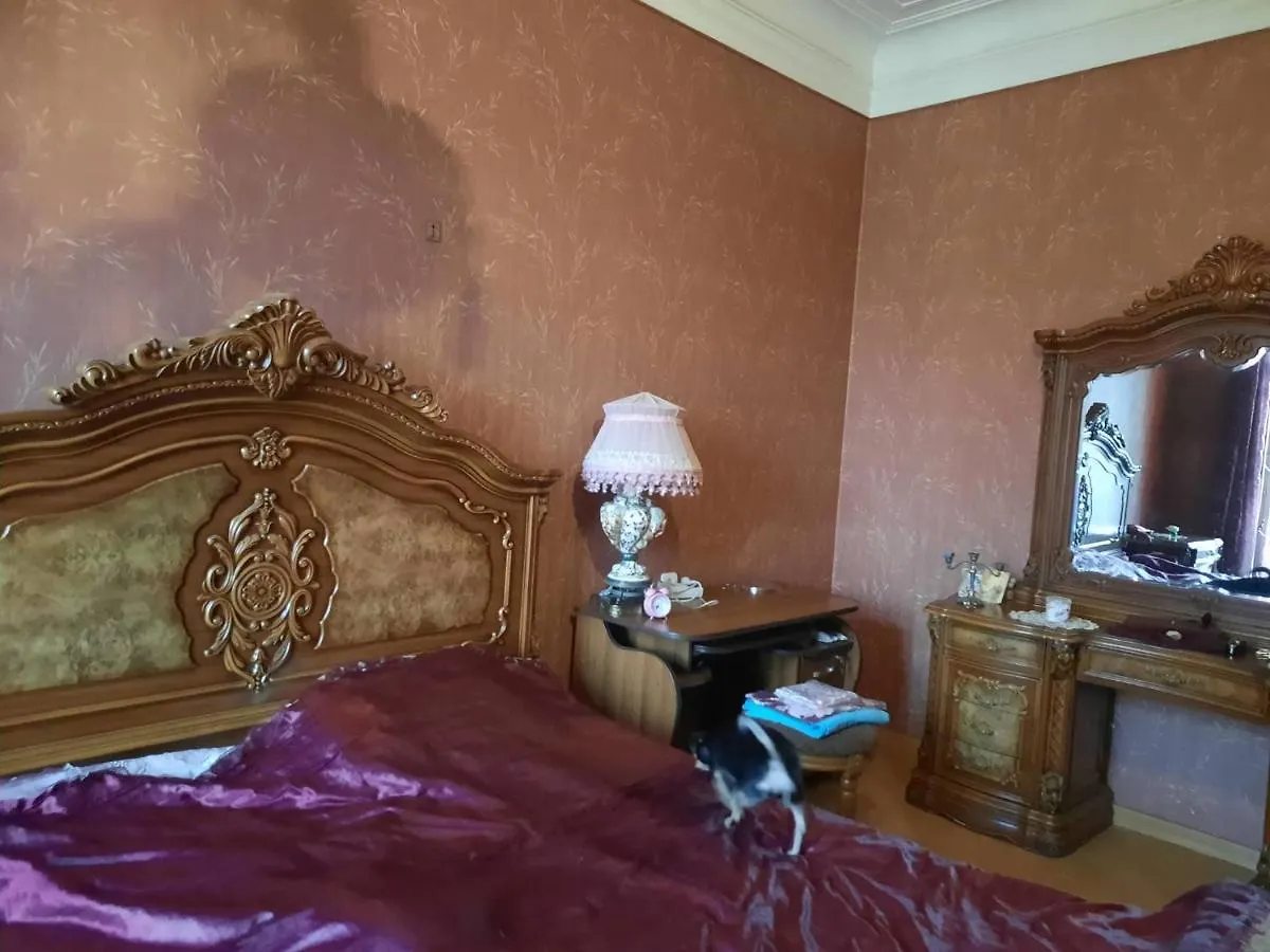 Tbilisi Philharmonia Apartment Georgia