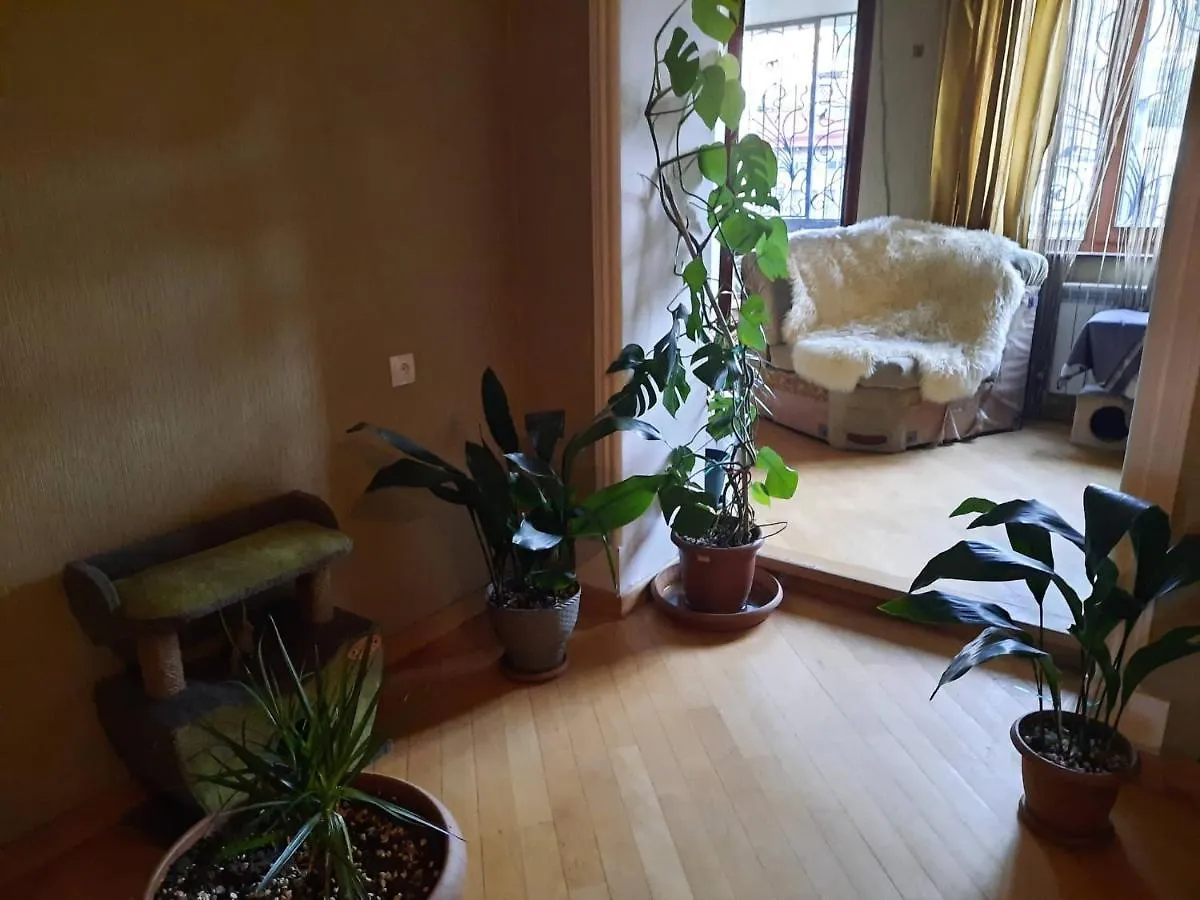 Tbilisi Philharmonia Apartment